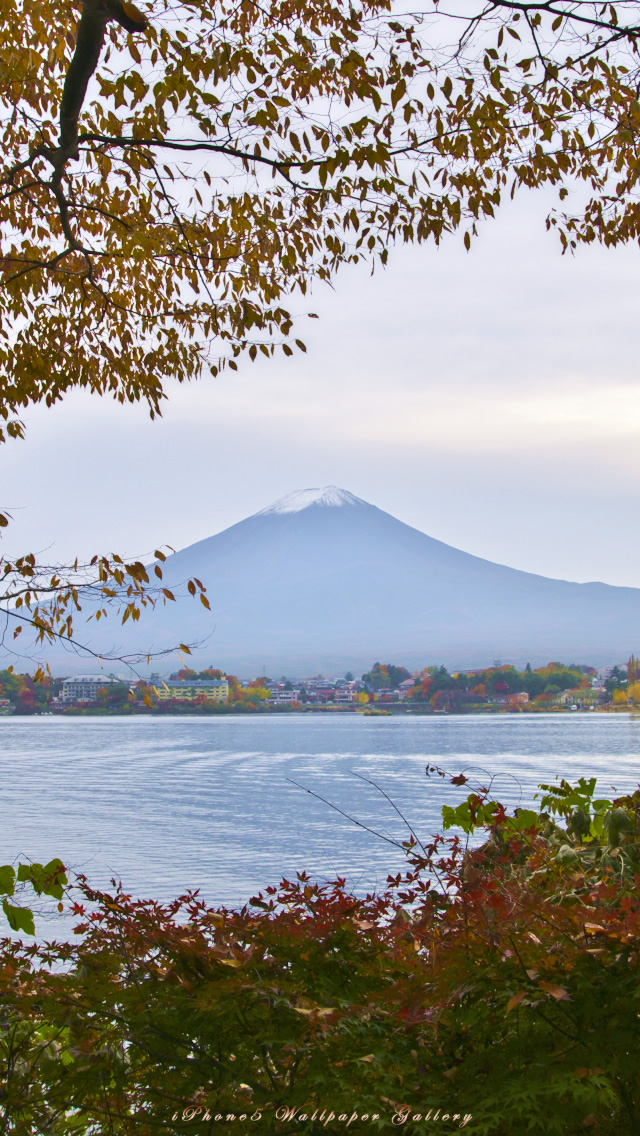 iPhone用高画質壁紙「富士山秋景」