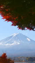 iPhone5用[640x1136]高画質壁紙「紅葉と富士山-Mt. Fuji」