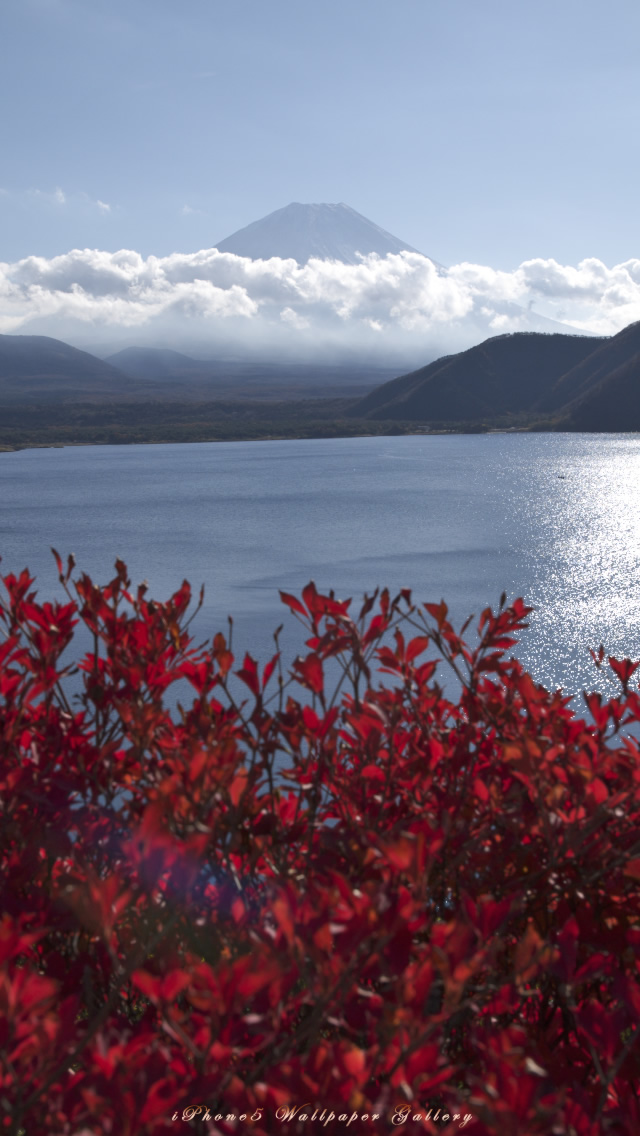 iPhone用高画質壁紙「秋の富士山」