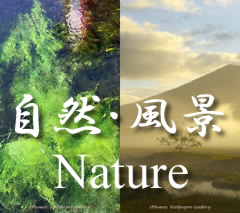 iPhone用「自然・風景-Nature」壁紙集