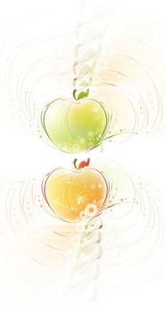 iPhone5/5s/5c用[744x1392]高画質壁紙「リンゴ-3｜apple」