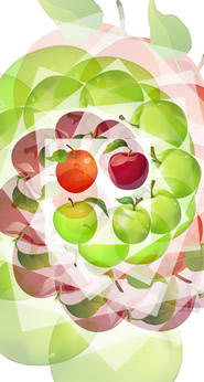 iPhone5/5s/5c用[744x1392]高画質壁紙「リンゴ-8｜apple」