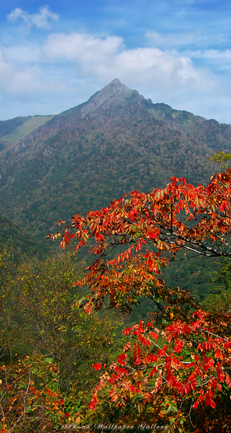 iOS 7-iPhone5用高画質壁紙「秋の石鎚山」