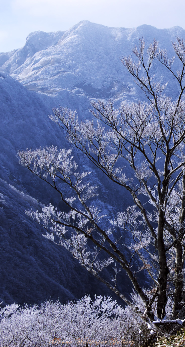 iOS 7-iPhone5用高画質壁紙「霧氷山嶺」