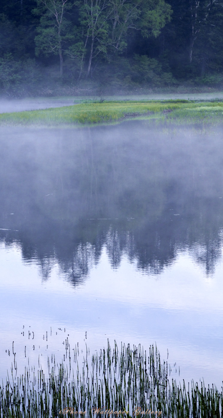 iOS 7-iPhone5用高画質壁紙「水面の風景」