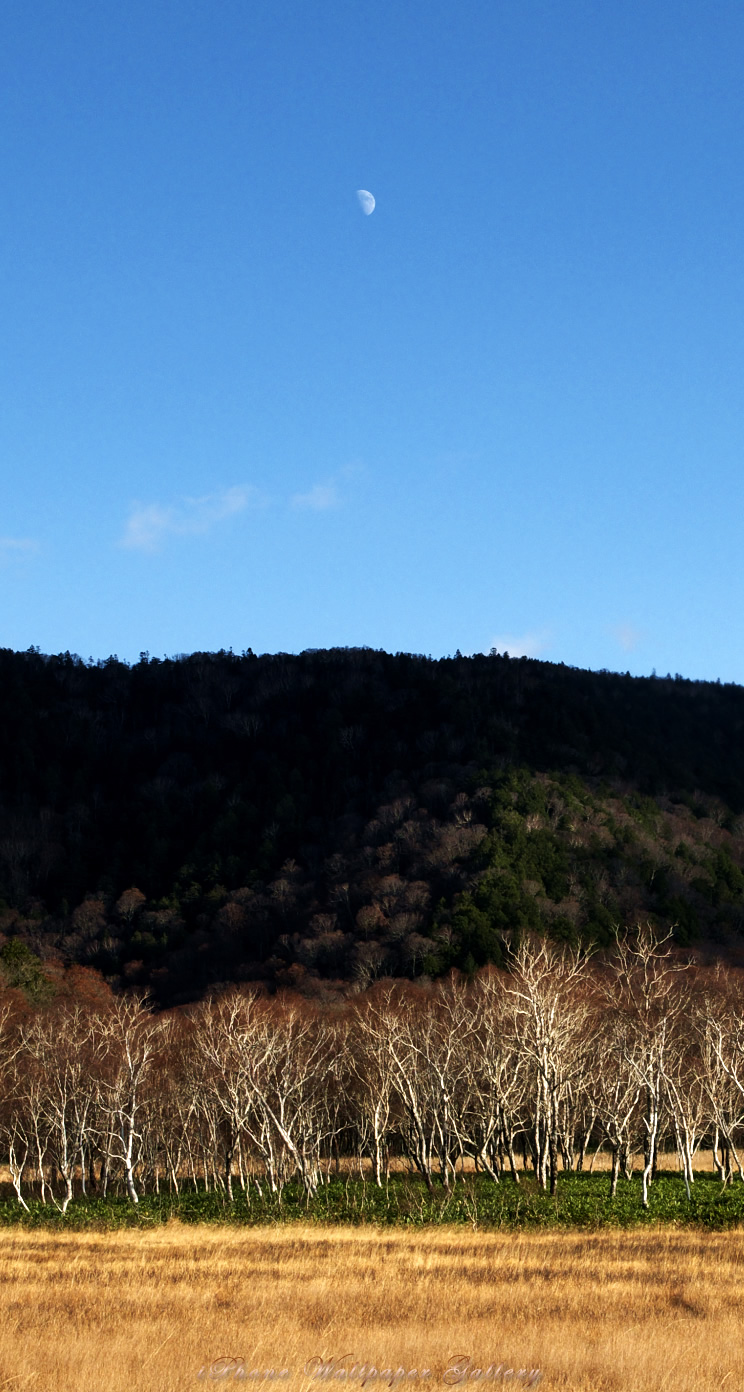 iOS 7-iPhone5用高画質壁紙「半月秋景」