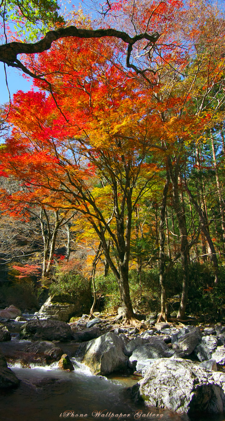 iOS 7-iPhone5用高画質壁紙「小田深山-2」