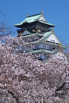 iPhone用[640x960]高画質壁紙「桜と大阪城-Osaka Castle in bloom」